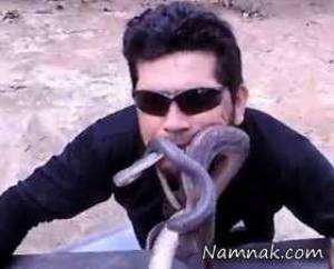 مار خطرناک